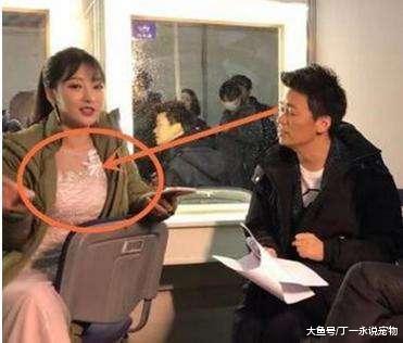 与柳岩合作的4大明星：目光无处安放手脚失调，只有他坐怀不乱