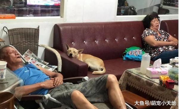 祖孙三人同步在客厅张嘴睡！网友揭残酷真相：你不是亲生的