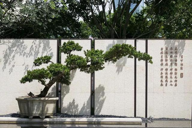 包揽三金！圈粉无数！这家房企有何魅力？