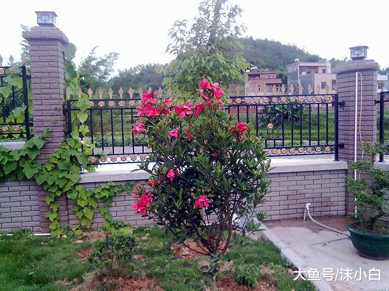 自建房庭院水泥地崩裂？看外国人多加一层网，多用几十年！