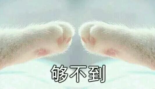 萌宠表情包，都不忍心斗图了