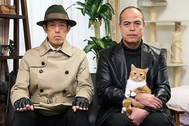 我虽然长得很凶，但我爱猫啊！