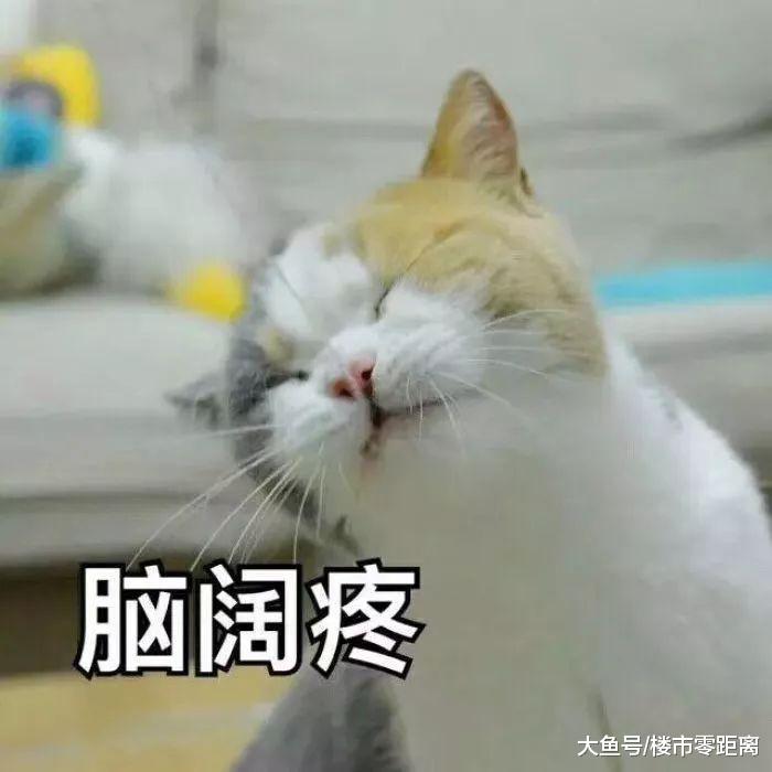 最惨不过“亏本”还卖不好, 20天只卖出7套! 南京江北高价地: 有钱撑得住