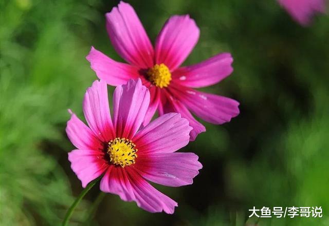 相识百人，不如知己一人！