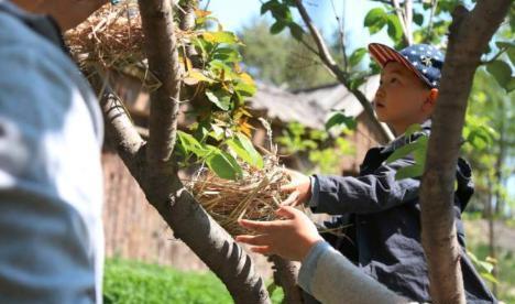郭晶晶育儿有一套，“虎妈”式育儿有多妙？论接触大自然的重要性