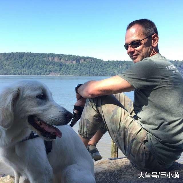 男子发现两狗坠入冰湖，为拯救遇难狗狗，一人一金毛无畏跳湖救命