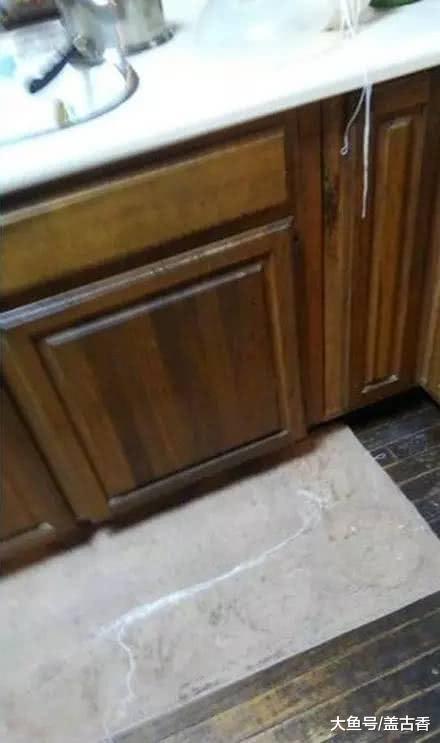 煮好的面条不翼而飞，随着踪迹找过去，发现一只馋嘴喵还在销赃