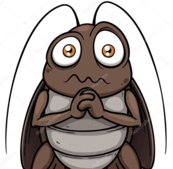 蟑螂竟然不能用脚踩？！新加坡小强多，是因为你