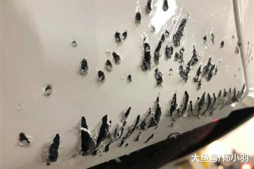 奔驰车现“金刚狼”抓痕，车主看到监控无奈“我又不能咬回去”