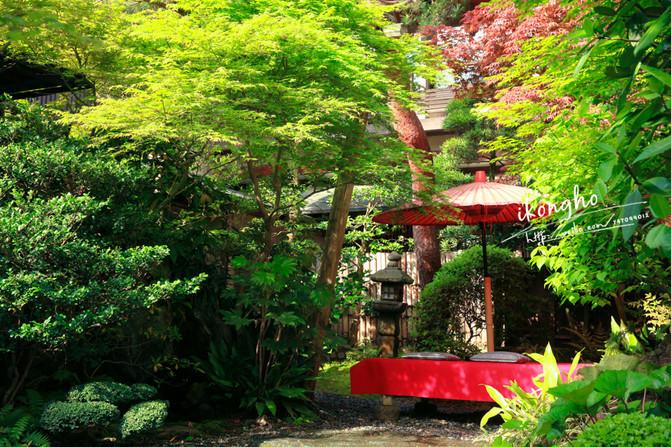 从住宿开始体验最地道的历史风情