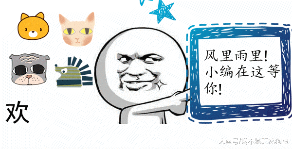 狗狗不能吃什么? 兽医偷偷告诉你, 这6种食物杀伤力很大!