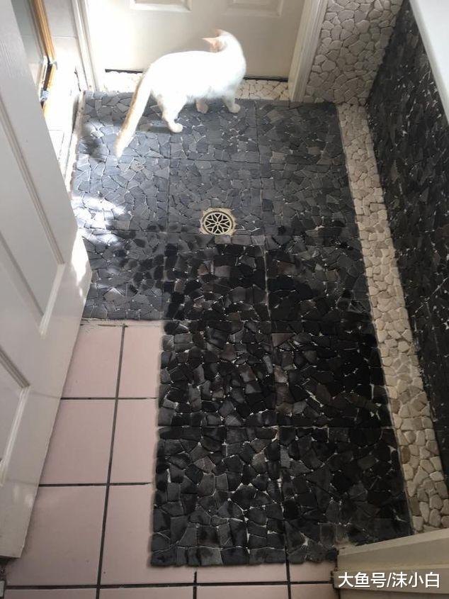卫生间改造，老公死活不同意！趁他出差铺鹅卵石，邻居踩点来参观