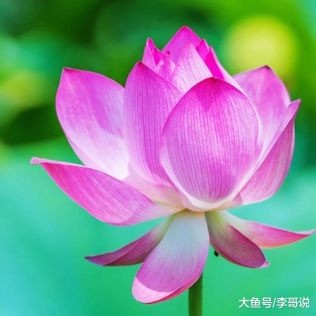 守嘴不惹祸，守心不出错！