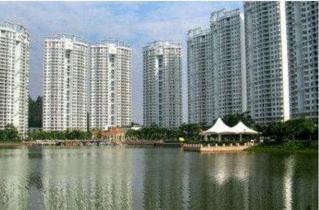 蚊子最高可飞到几层？看完专家的“答案”，后悔我家买错楼层了！