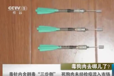 我所接触过“狗贩子”买卖肉狗的一生