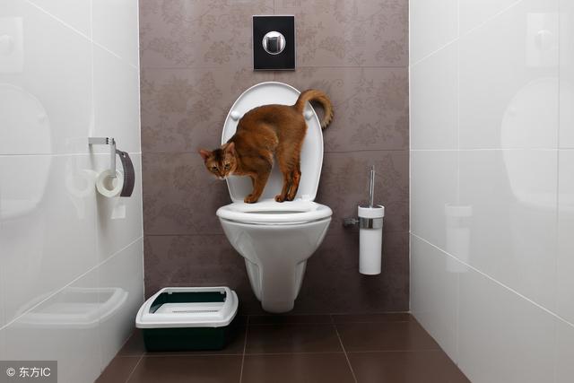 2万血汗钱换来的教训，全屋装修中的36个败笔错误，我家连犯8条！