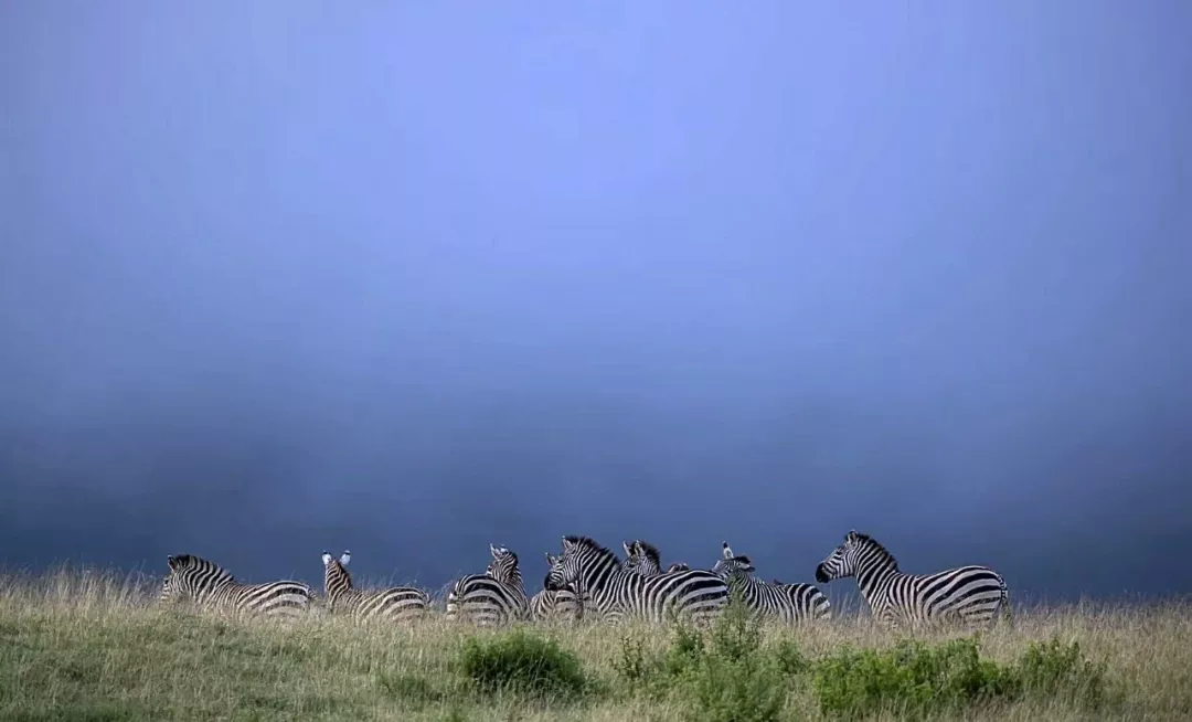 遇肯尼亚（三）难以描述的神奇