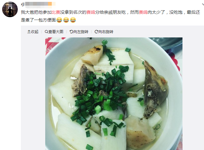 斗狗伤残导致流血不止！2019，请斗狗消失