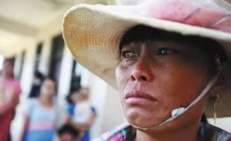 电视上一养就富, 农民一养就赔, 那些致富的节目还能信吗?