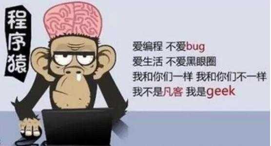 32程序员面试被拒，嫌弃太老，“大龄程序员”将何去何从