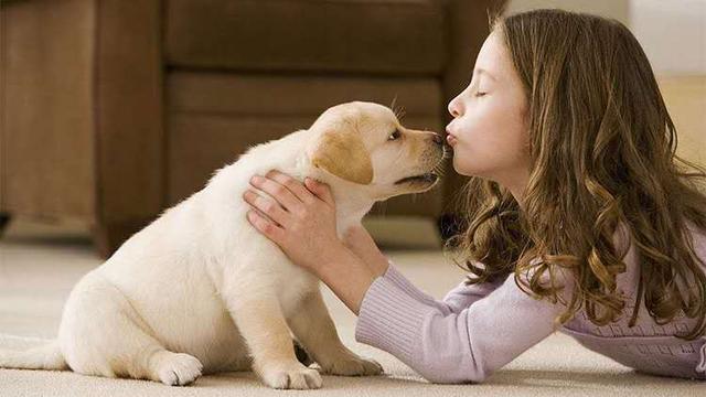 宠物衣服上新啦，可爱舒适又保暖给“狗儿子置办几套宠物衣服