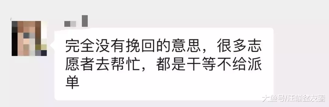 誰能想到，花150元雇人喂貓，我的貓卻成了救助對象