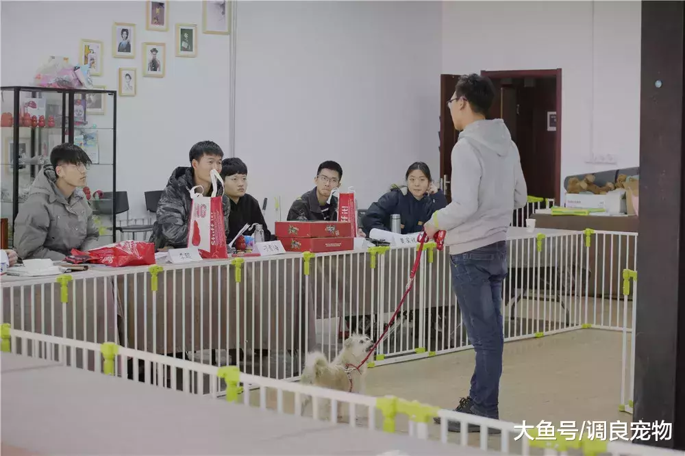 成长总是在不经意间发生||82期专业课进行中
