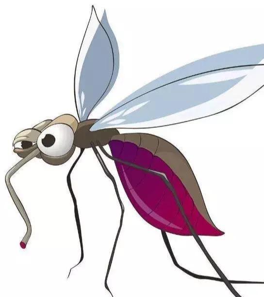 蚊子最高可以飞到几层？老齐师傅给出“答案”，我家买错了