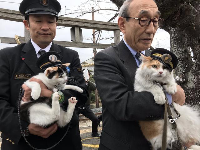 史上最简短的致辞, 日本铁路猫站长, 用喵的一声萌混过关