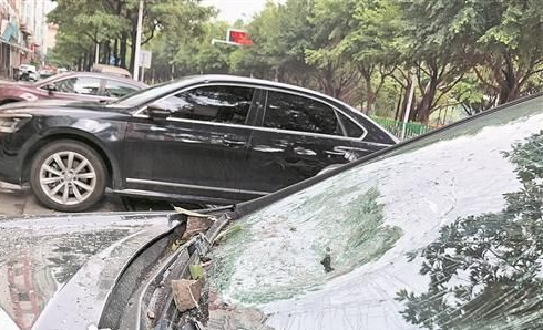 泉州市盛荣苑小区、华大泰禾首府两小区均发生危险的“天降”物品！幸运的是无人受伤