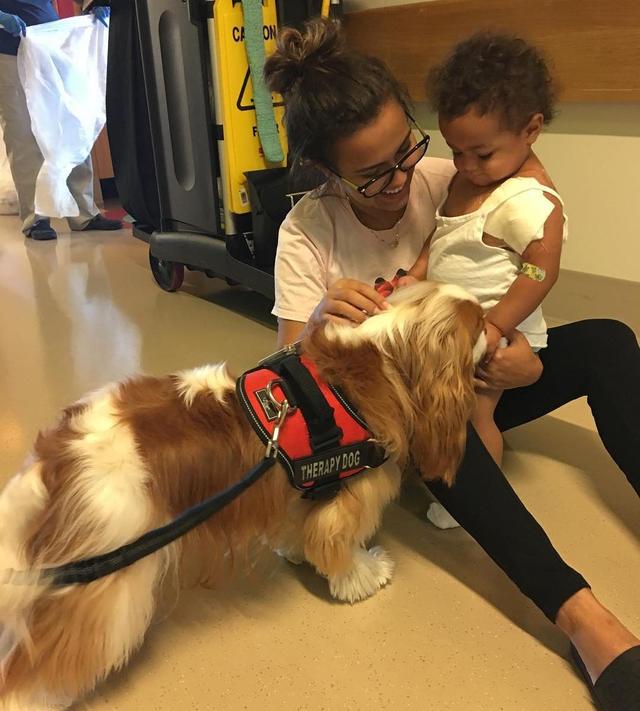 狗狗第一次见新生儿，做父母要注意这些！才能安全相处