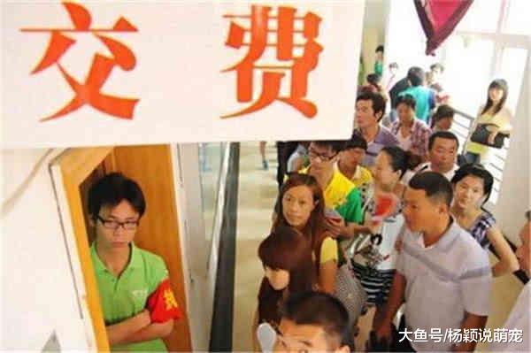 幼儿园天价学费，家长拿到清单被吓懵了，孩子：妈妈你的手怎么在抖