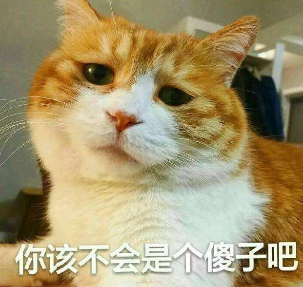 主人趁猫咪熟睡时给它闻风油精, 猫咪一脸懵逼: 哇! 这味道真酸爽