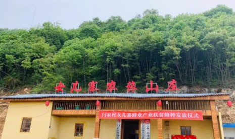 农家乐变“农家哭”，为何近期农家乐迎来了“关门潮”？城里人怎么看？