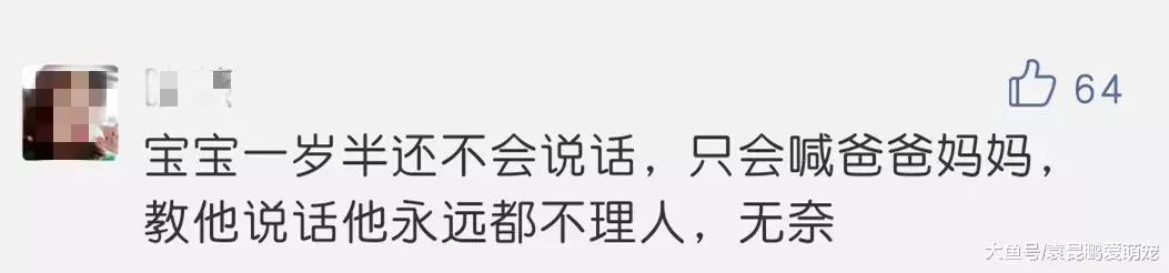 凭什么！都是1岁半，我的娃还不会说话，有的娃却可以说绕口令了？！