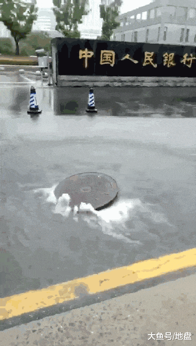 布衣天子: 寡人这就去注册公司