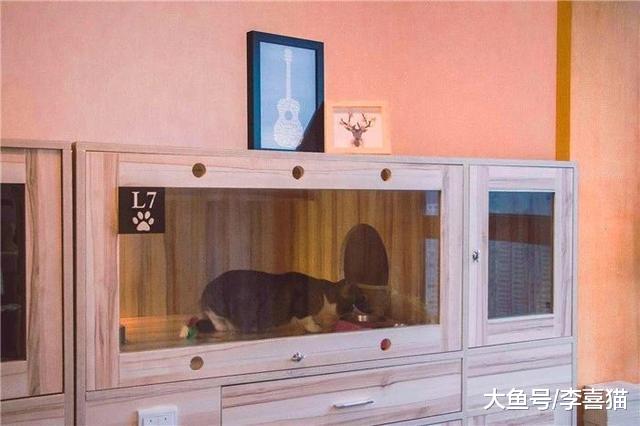 主人出差时仅给宠物留食物并无法解决问题，细说你未知的四点危害