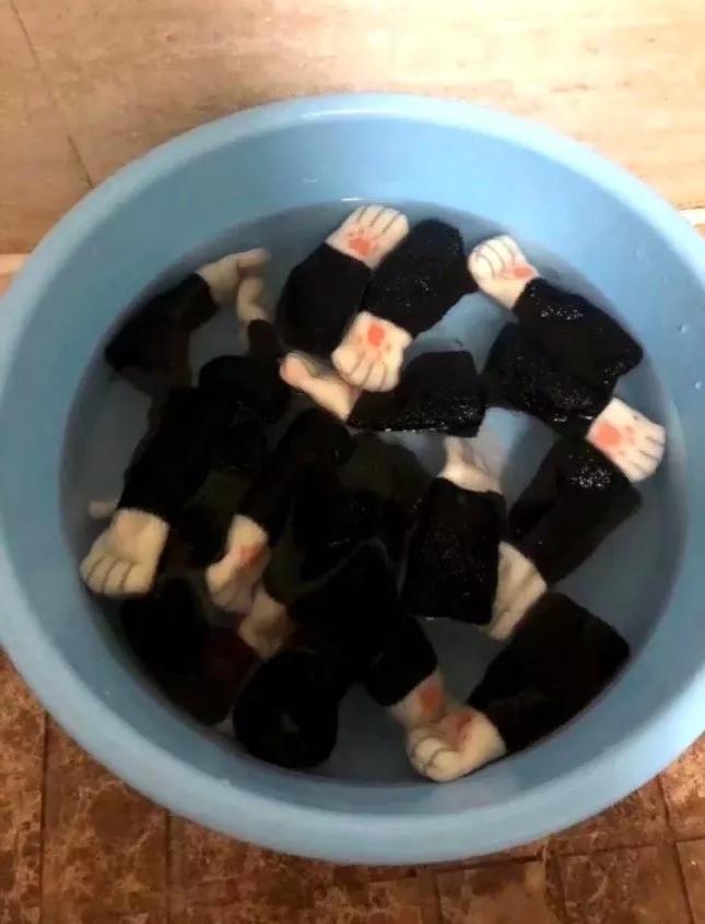 猫猫没错，是人类不该把东西放到猫猫想睡觉的地方