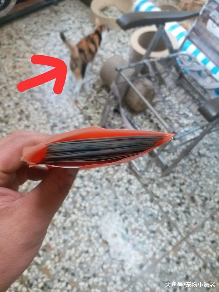 19年最霸氣的員工，直接將4萬元扔回老板，大喊：老子辭職不干了