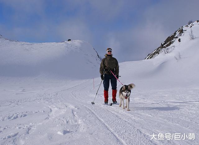 8种鲜为人知的狗狗运动，狗主们来学学，跟狗狗玩一个新游戏