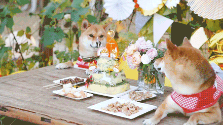 一家三口，住6000平米的房，这也许就是“美好生活”应该有的样子！