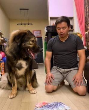 狗狗在家挖出一把钞票，男主人回家秒跪，女主人：今晚加菜