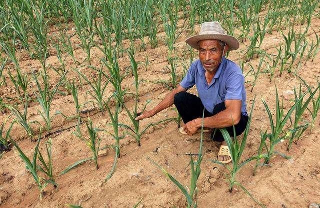 年入40岁，农民至今一事无成，多是受这4个因素影响，你中了哪个？