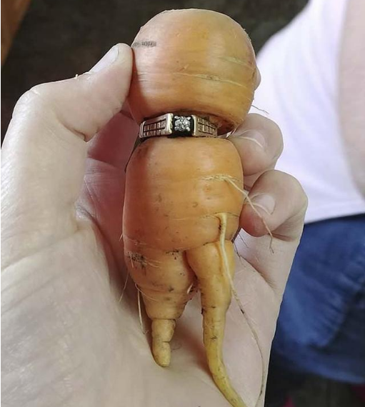 女子在后院挖到一根胡萝萝卜，拿在手中仔细查看，把她乐坏了