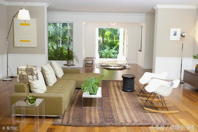 家里放上这一植物，男旺财，女旺夫，一旺旺10年！