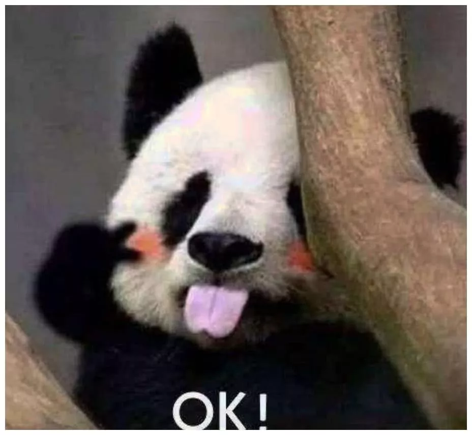 最委屈的熊猫，在线卖萌，惹得全网为它打抱不平