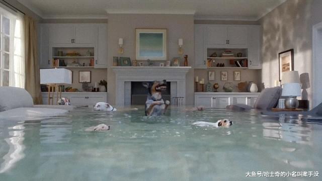 趁主人不在家的时候，狗狗居然打开水龙头，在家里玩起了跳水