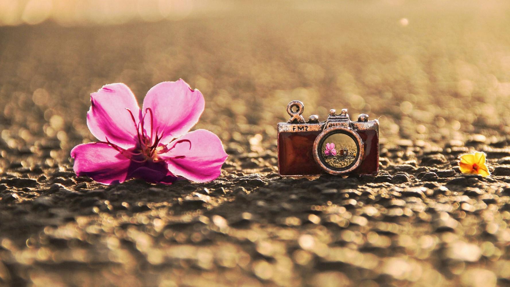 5个提示, 以提高您的移动摄影技巧