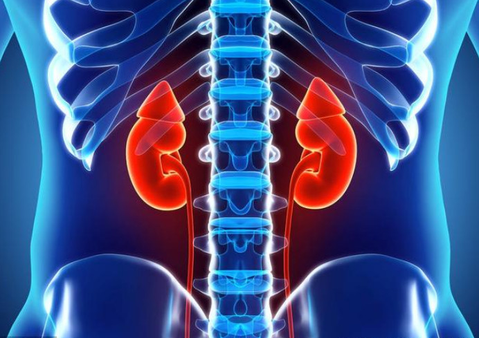 肾虚|男人肾虚“死撑不认”?头上出现“这东西”,旁人只是不想戳穿你!