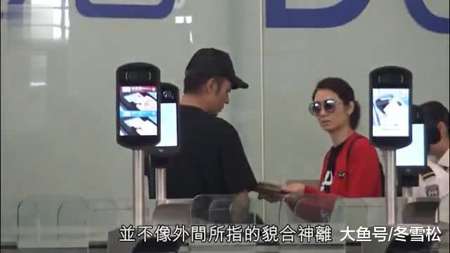 洪欣张丹峰带女儿游美国一个月修补感情，夫妻俩有说有笑恩爱如初